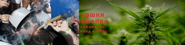гидра Армянск