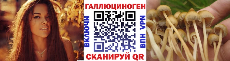 Галлюциногенные грибы прущие грибы купить наркотики цена Ужур