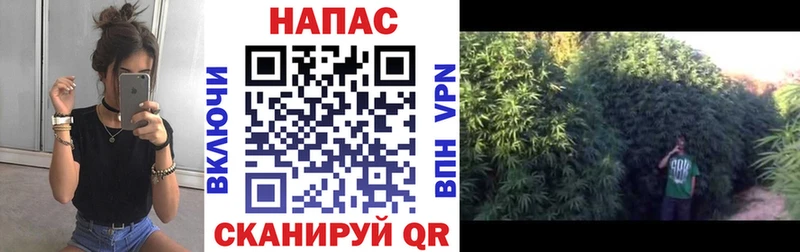 Шишки марихуана Bruce Banner  купить наркоту  Ужур 